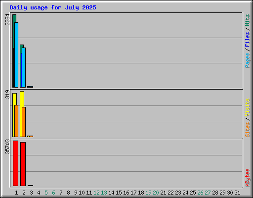 Daily usage for July 2025