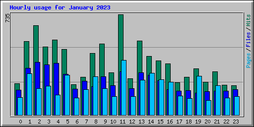 Hourly usage for January 2023