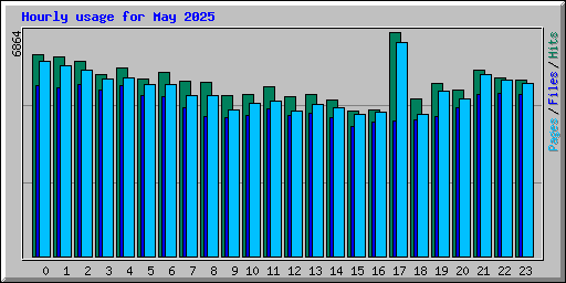 Hourly usage for May 2025
