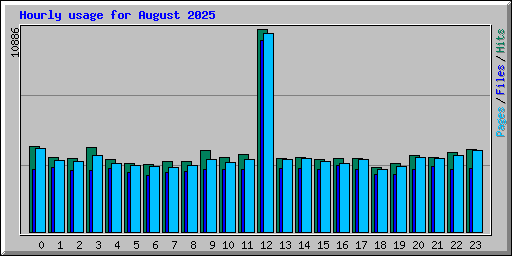 Hourly usage for August 2025
