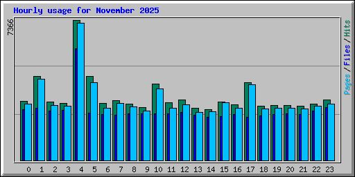 Hourly usage for November 2025