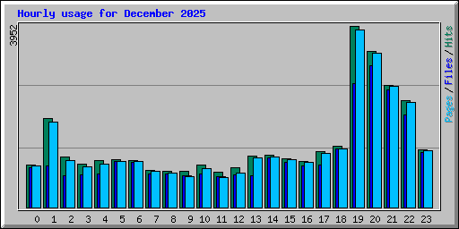 Hourly usage for December 2025