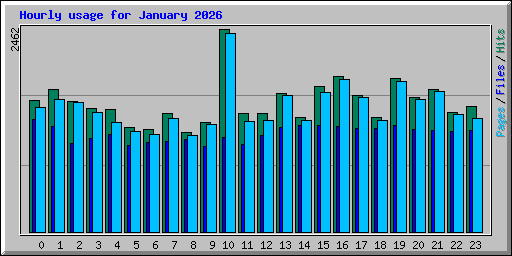Hourly usage for January 2026