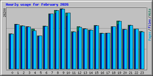 Hourly usage for February 2026